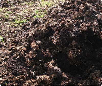 Organic-Fertilizer-Pellet-for-Planting
