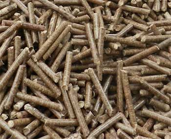 PELLETS-FROM-FLAT-DIE-PELLET-MILL